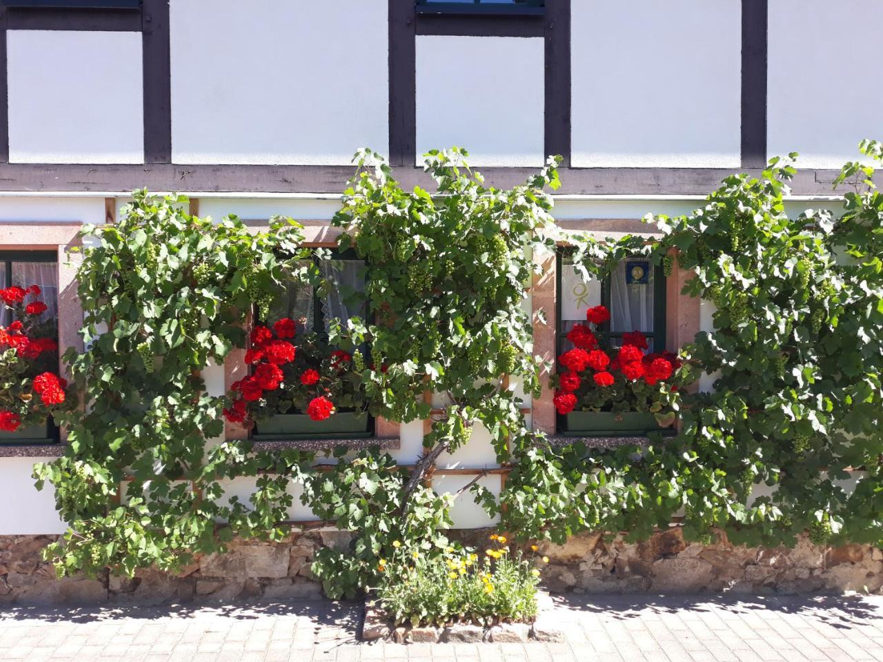 Hotel Balancehaus Kohren-Sahlis, Dein Kurhaus In Sachsen Extérieur photo